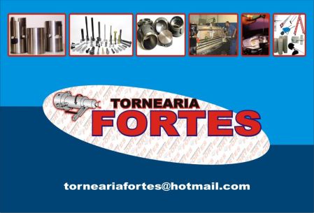 TORNEARIA FORTES