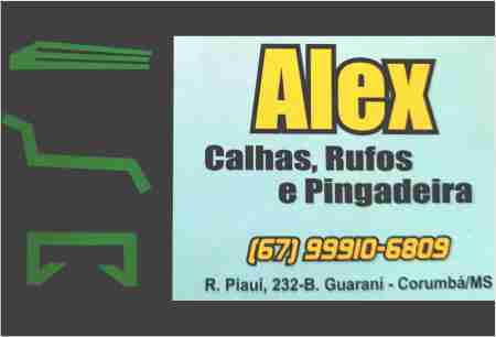 ALEX CALHAS, RUFOS E PINGADEIRAS